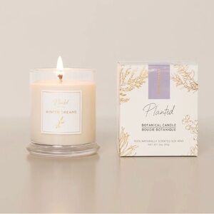 Soy Candle: Winter Dreams